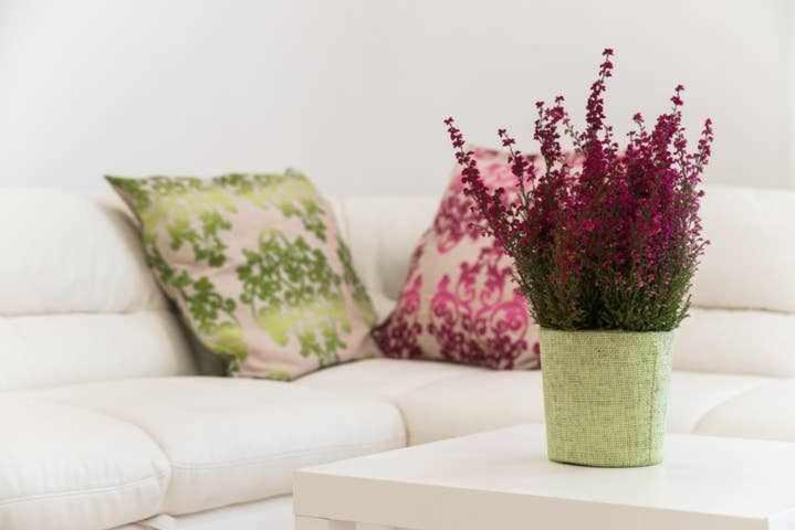 Mediterranean House Nettuno Apartman Kültér fotó